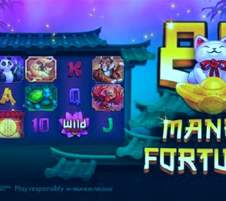 Maneki Neko (VA Gaming) slot game