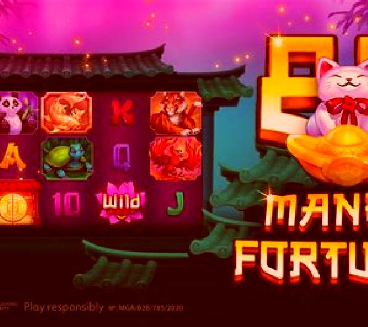 Maneki Neko (VA Gaming) slot