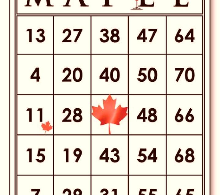 Maple Bingo slot game