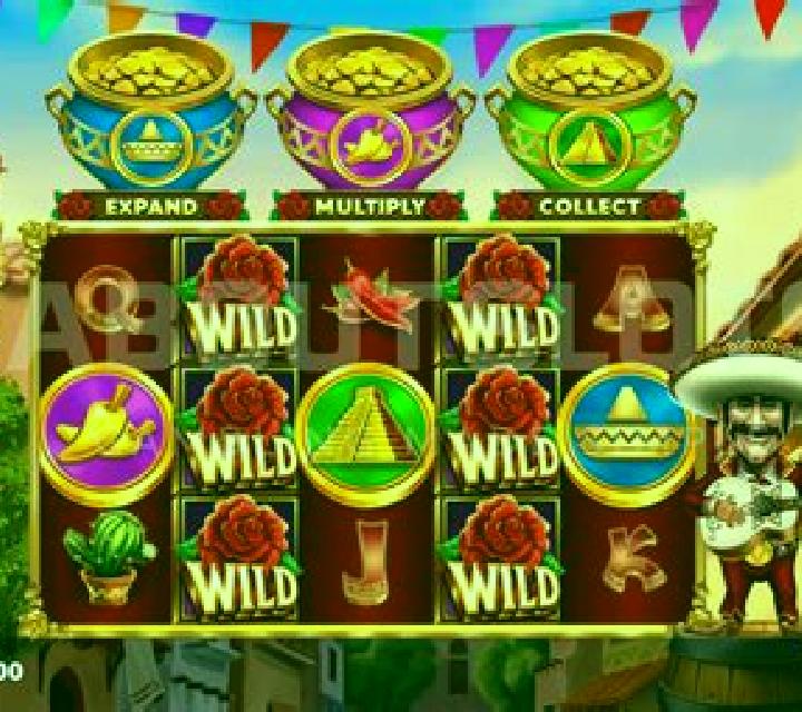Mariachi Coins slot