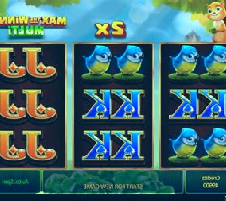Max the Winner Multi slot
