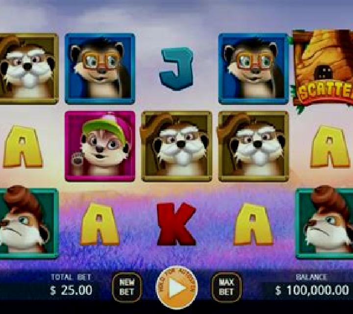 Meerkats Family slot