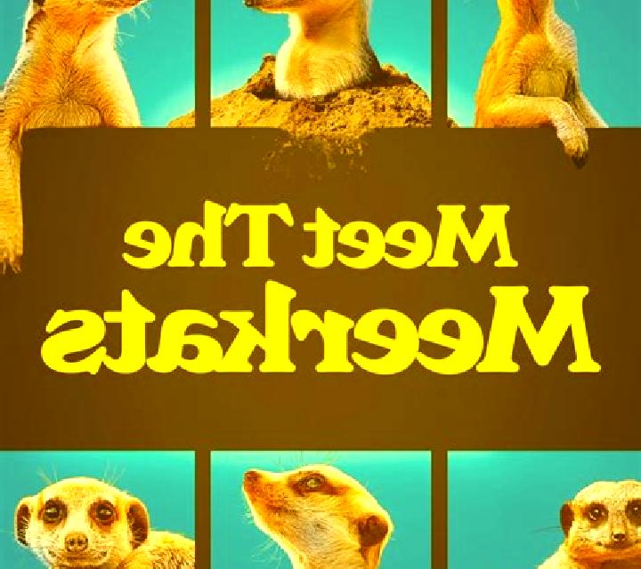 Meet the Meerkats online slot