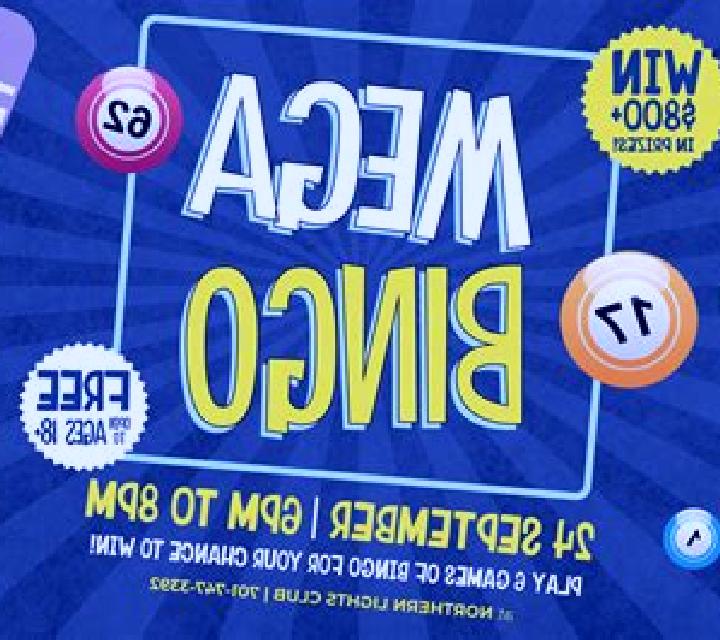 Mega Bingo slot game