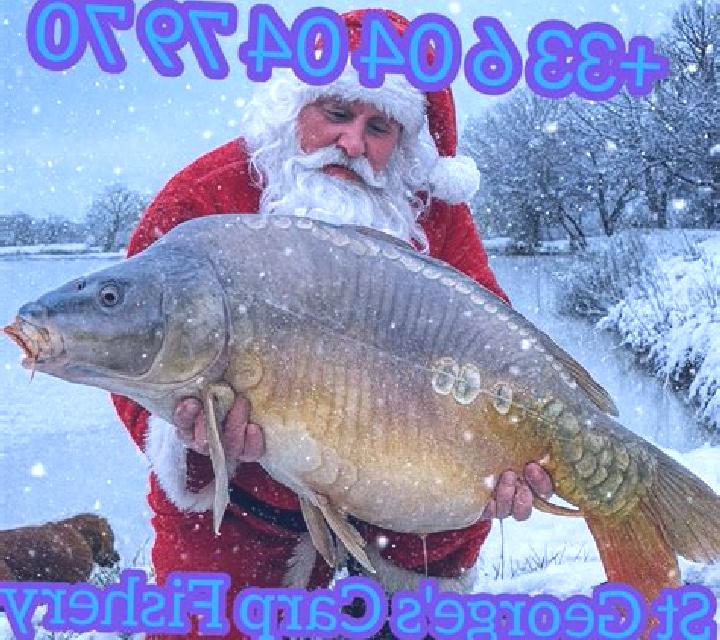 Mega Carp Christmas online slot