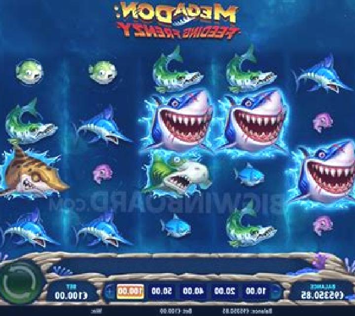 Mega Don Feeding Frenzy slot