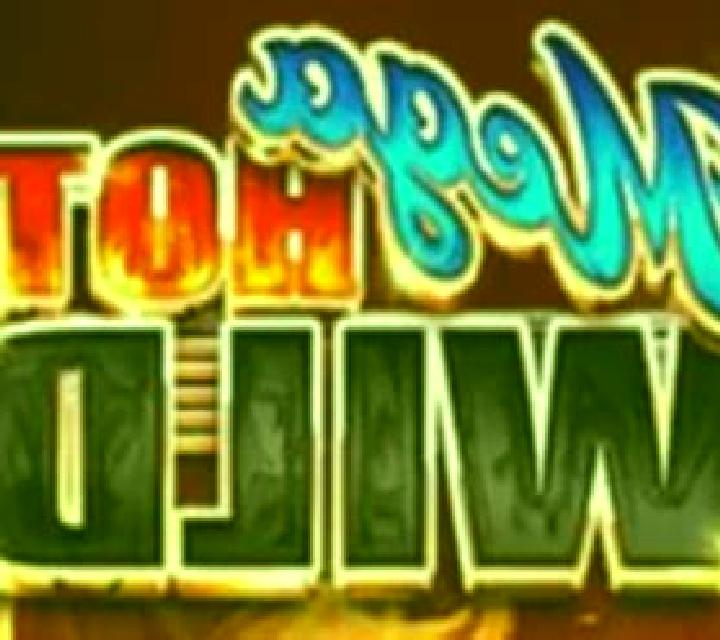 Mega Hot Wild slot game