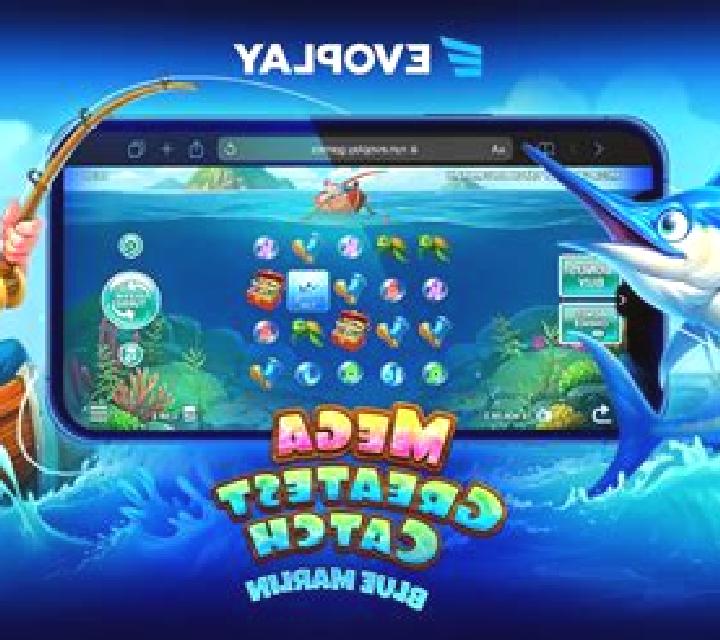 Mega Money Catch slot game