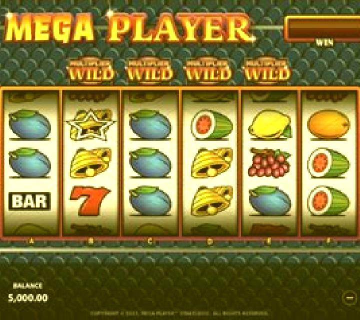 Mega Player slot machine