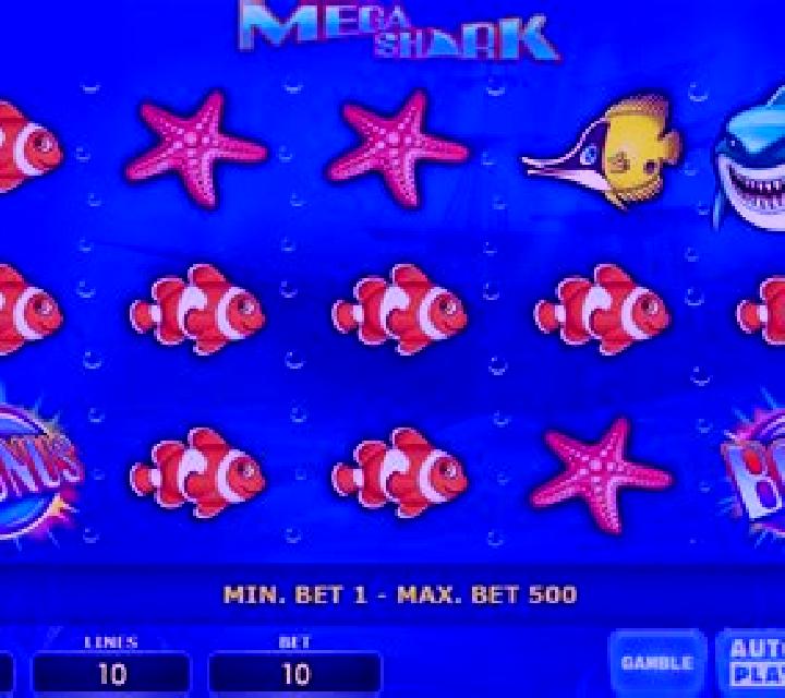 Mega Shark slot game