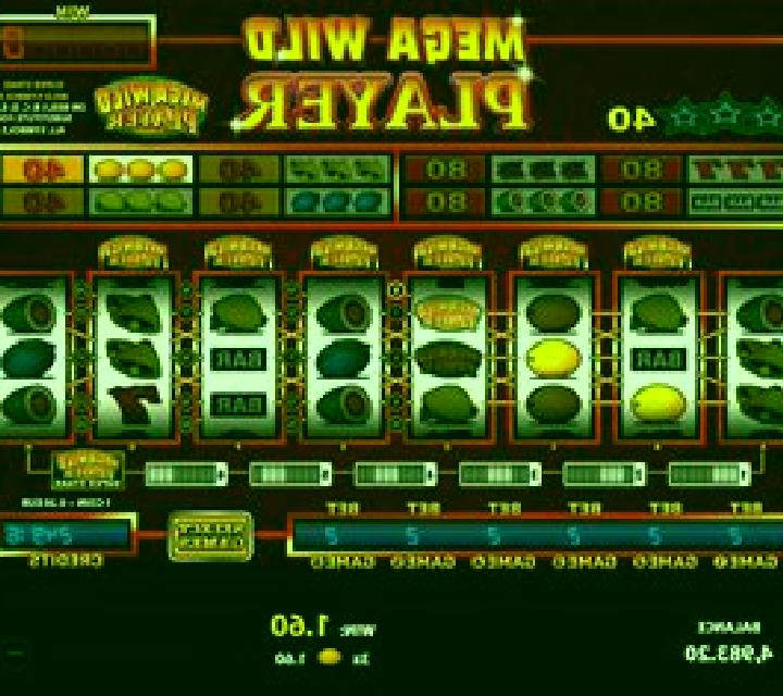 Mega Wild Player slot