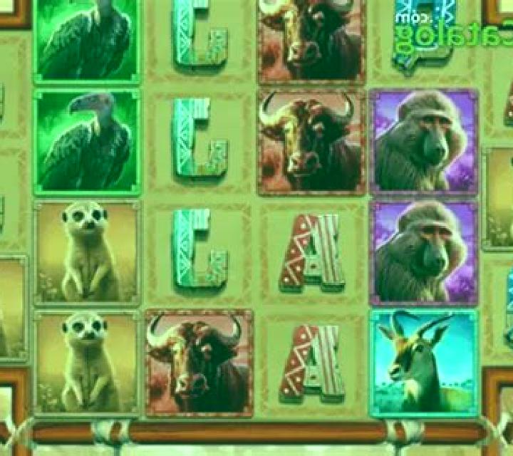 Mega Wild Safari slot