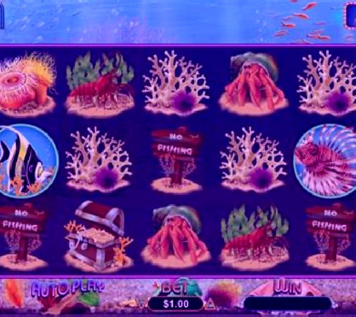 Megaquarium online slot