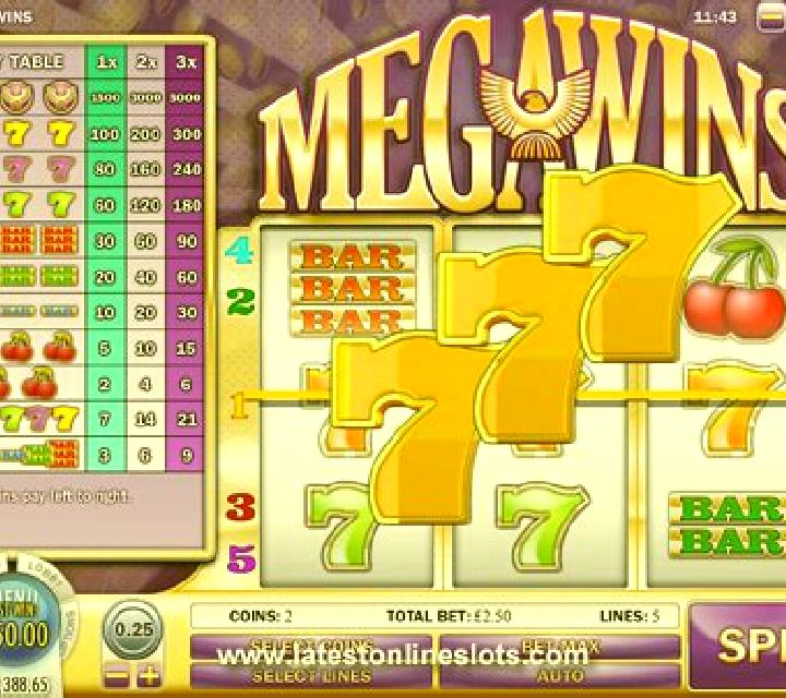 Megawins slot game