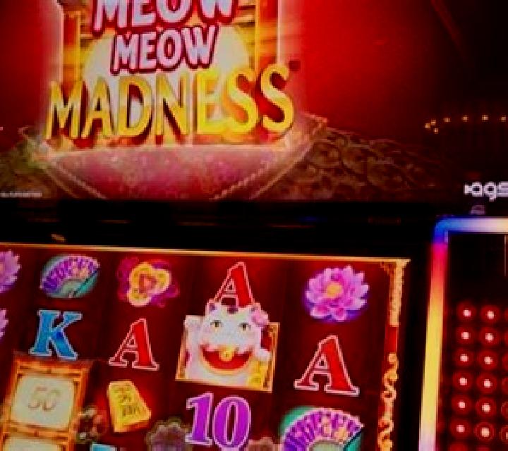 Meow HiLo slot machine