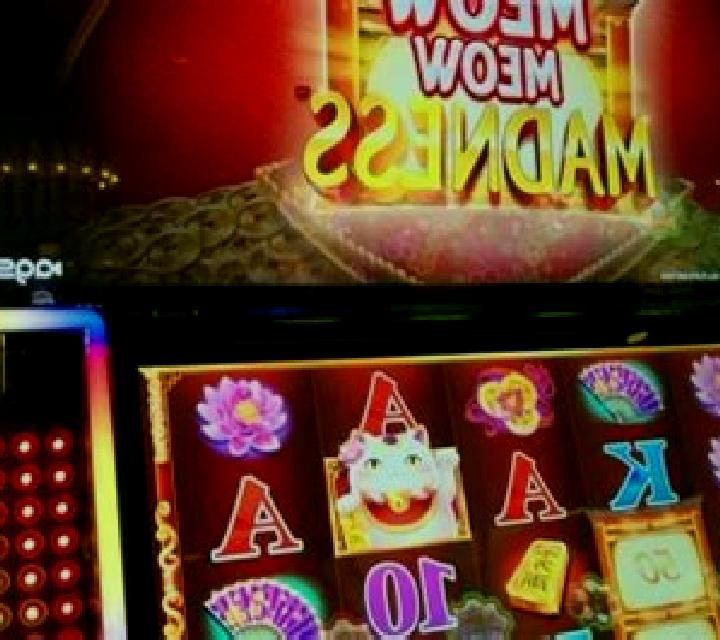 Meow Meow slot game