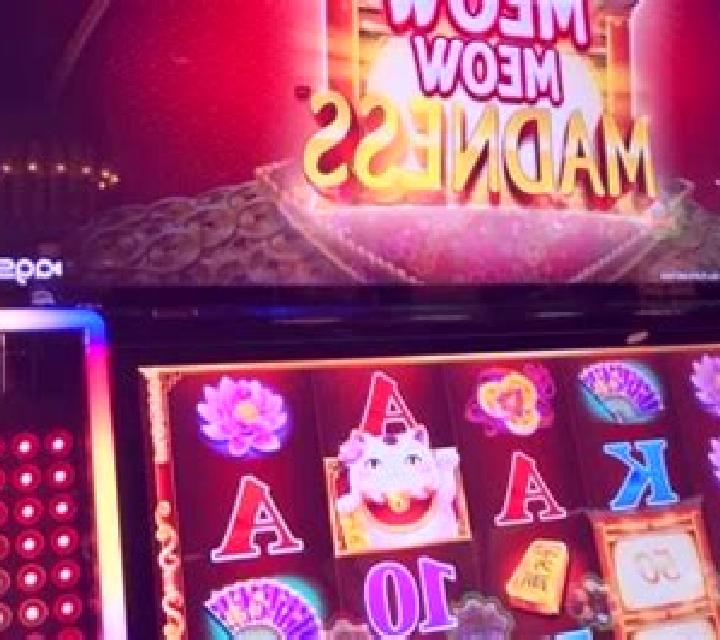 Meow Meow slot