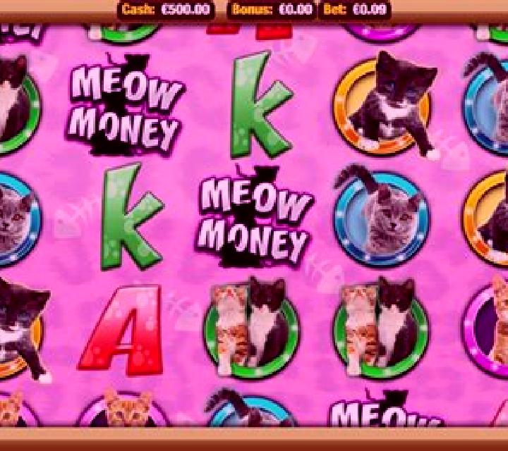 Meow Money slot