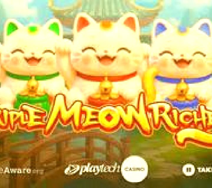 Meow Riches slot