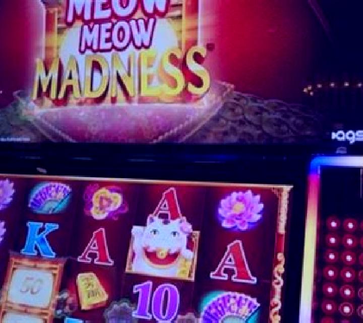 Meow slot machine