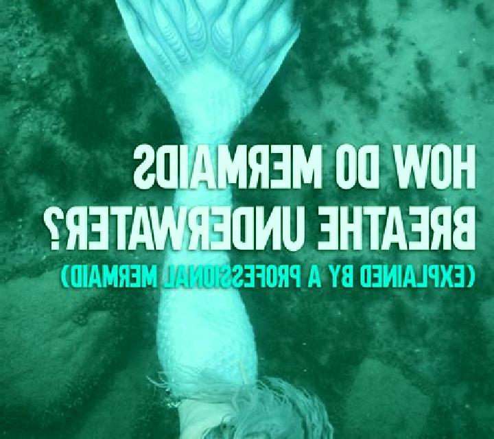 Mermaid s Wild online slot