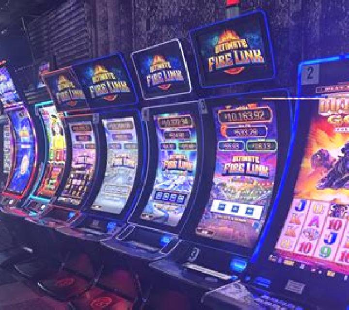 Miami Wild Jack slot machine
