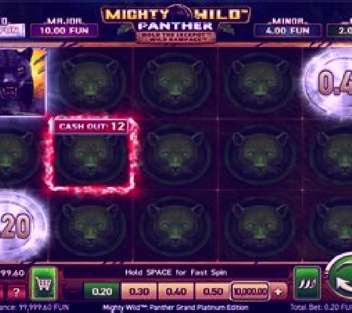 Mighty Wild: Panther slot game