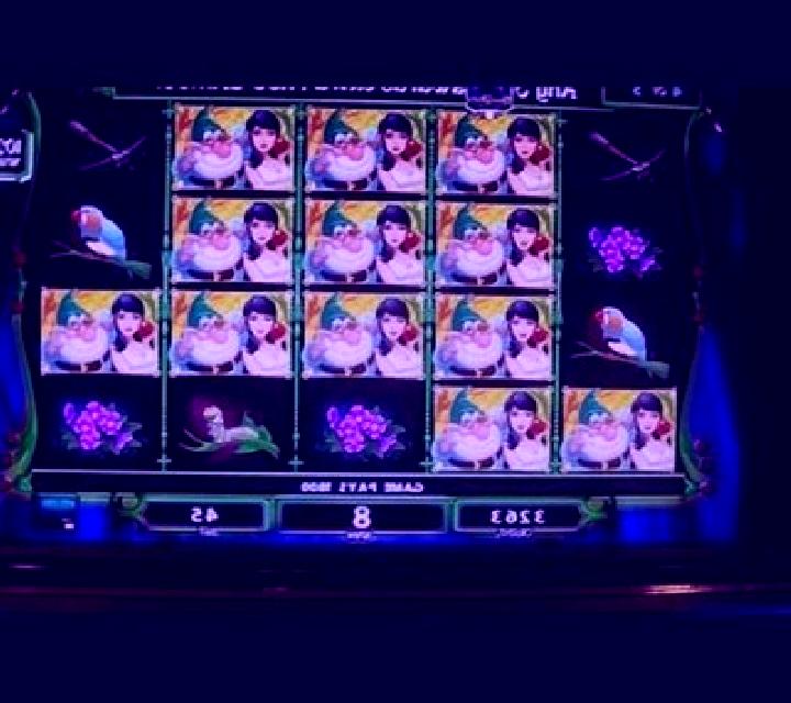 Miss White slot machine