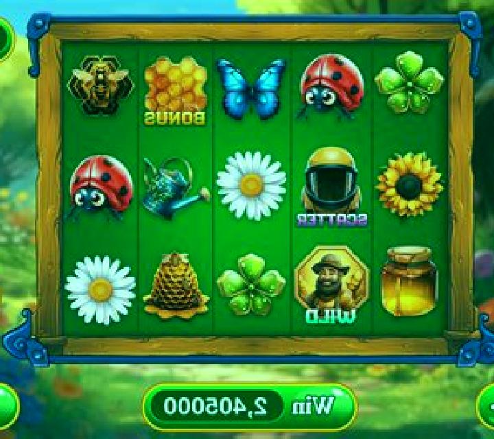 Money Bee slot game