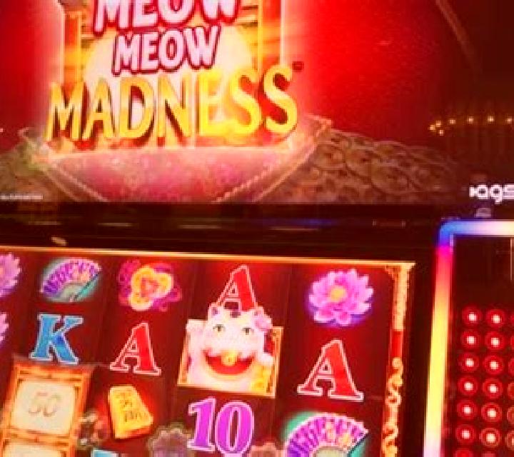 Money Meow slot machine