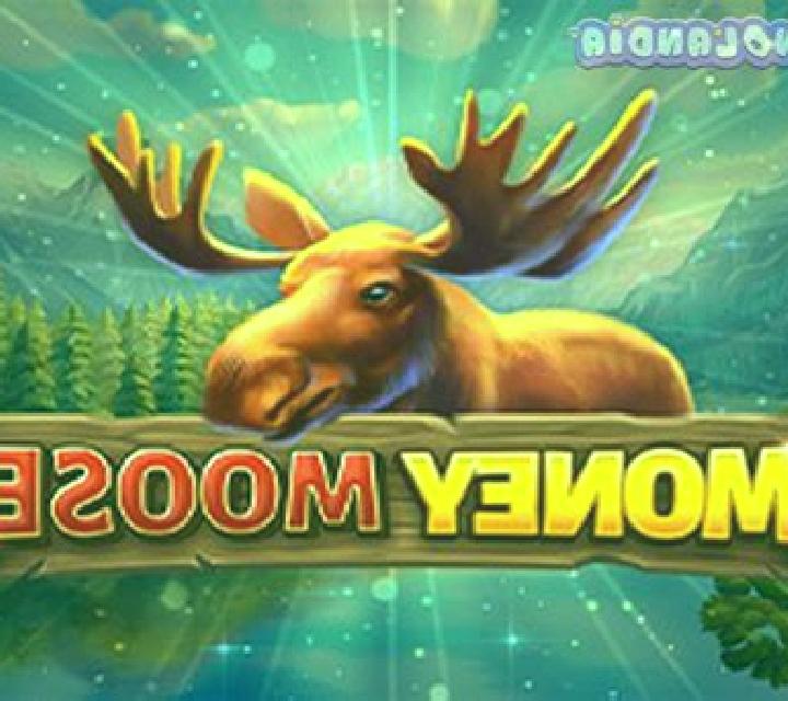 Money Moose slot game