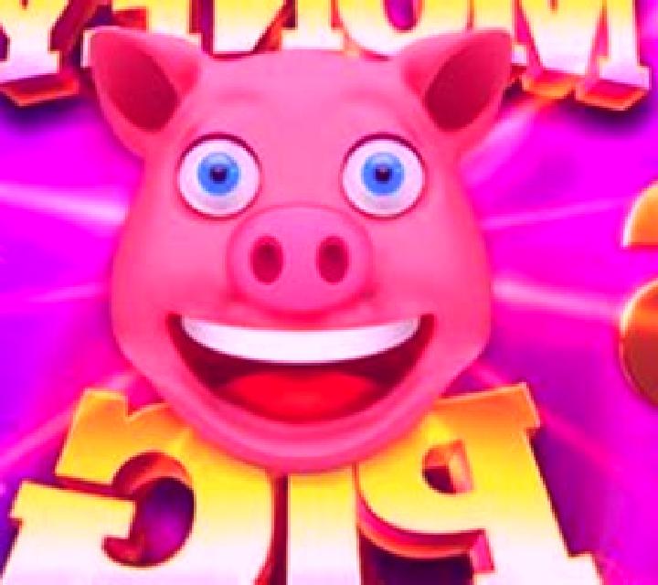 Money Pig slot machine