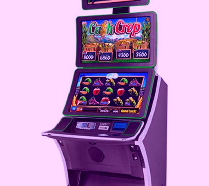 Monkey 27 slot machine