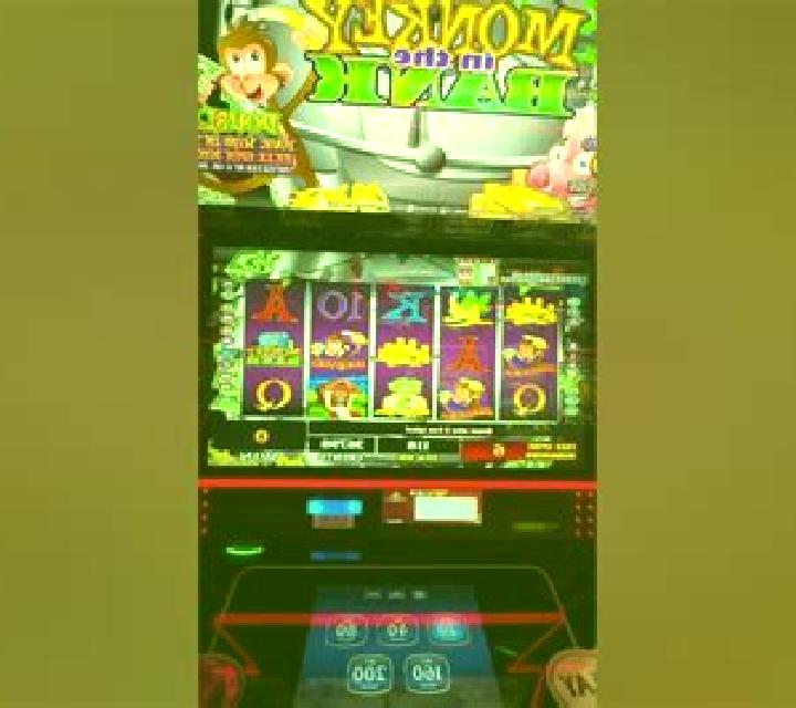Monkey and Rat slot game