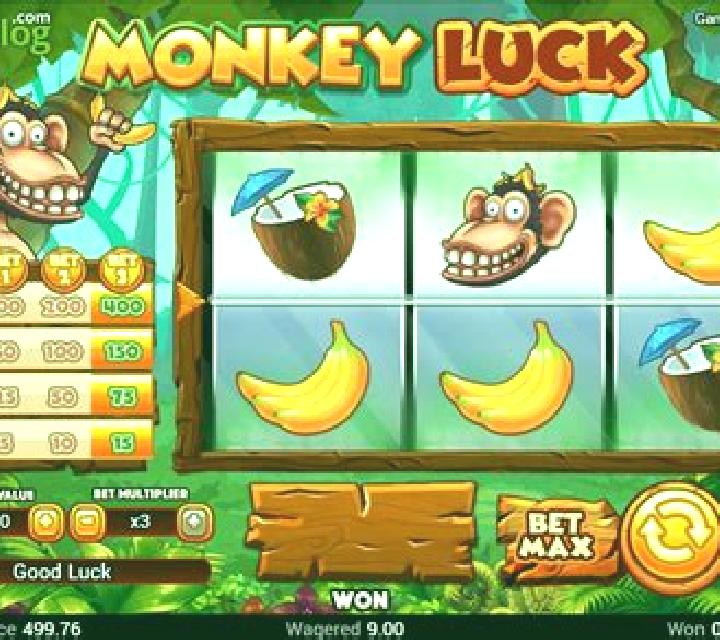 Monkey Luck slot