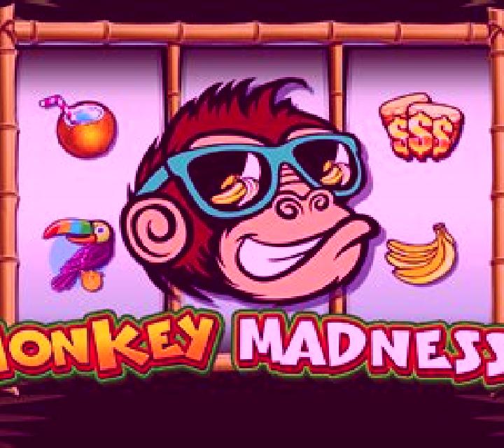 Monkey Madness slot game