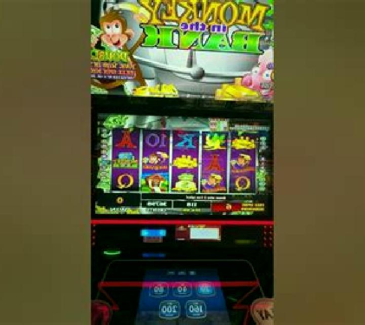 Monkey Money (Boongo) slot machine