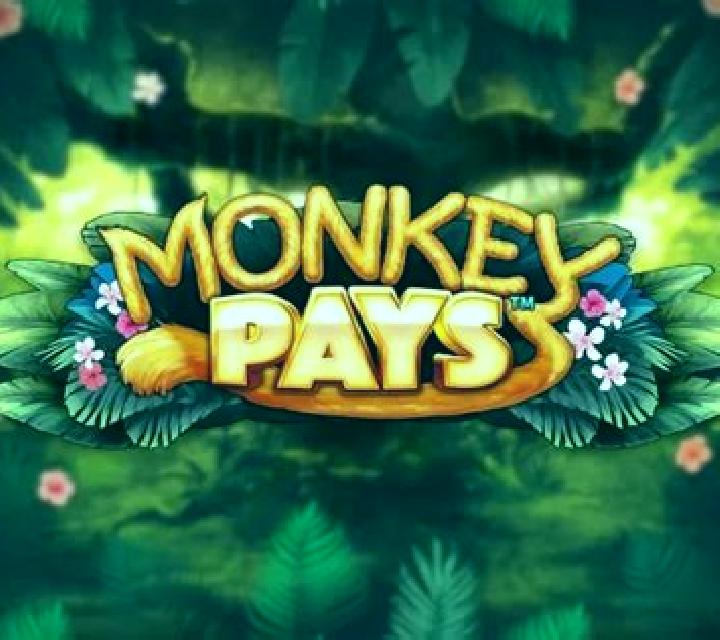 Monkey Pays slot machine