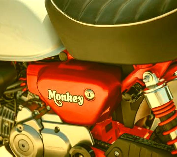 Monkey Power online slot