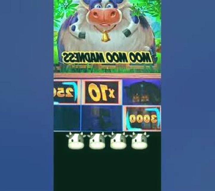 Moo Moo Cow slot machine