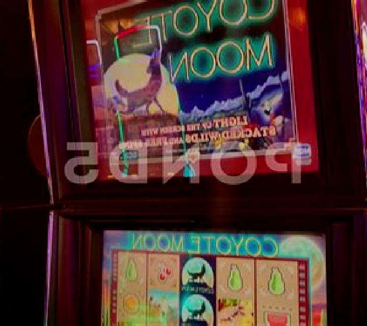 Moon Bitten slot machine