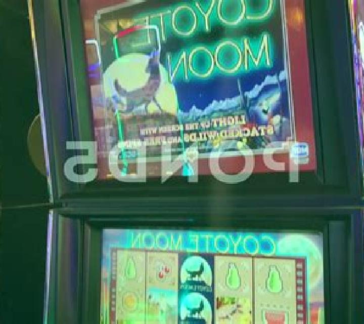 Moon Catcher slot machine