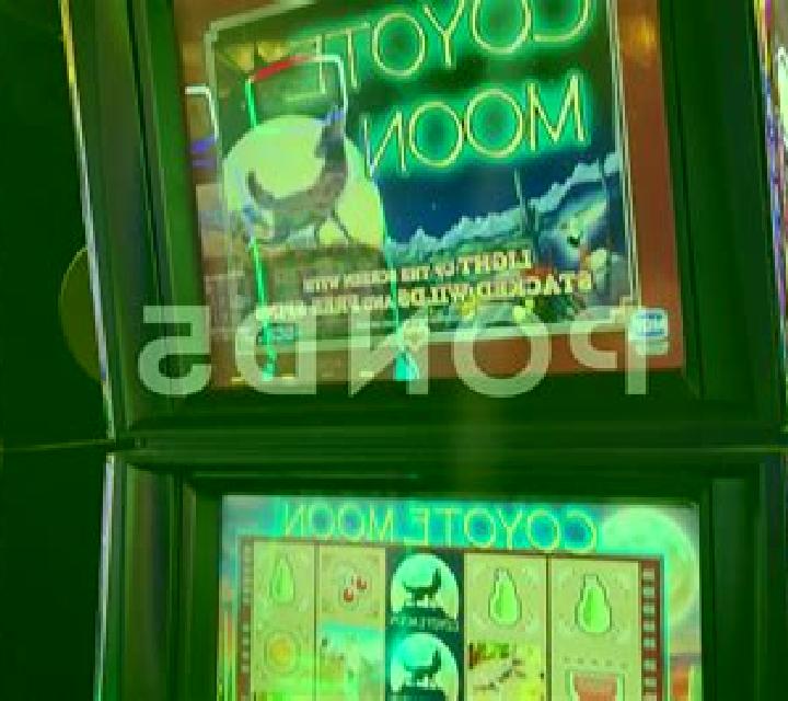 Moon Dog slot machine