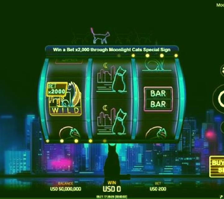 Moonlight Cats slot