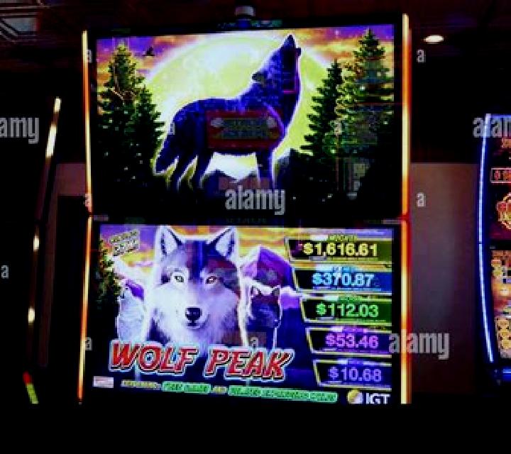 Moonlight Wolves slot machine