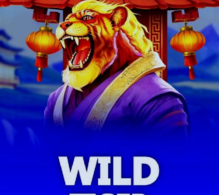 Mr Tiger slot game