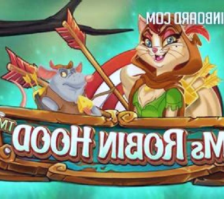 Ms Robin Hood slot game
