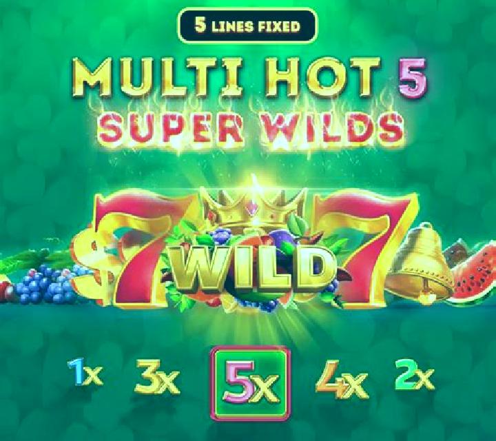 Multi Hot 5 Burn Wilds slot game