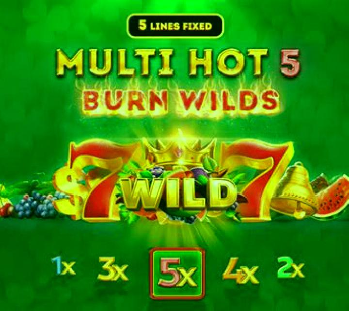 Multi Hot 5 Burn Wilds slot machine