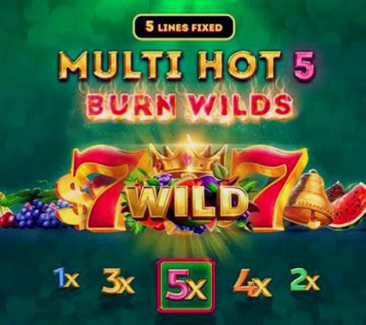 Multi Hot 5 Burn Wilds slot